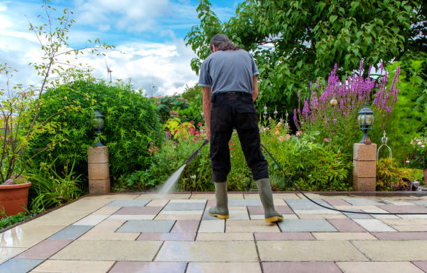 Best Driveway Pressure Washing  in Shelbyville, IN